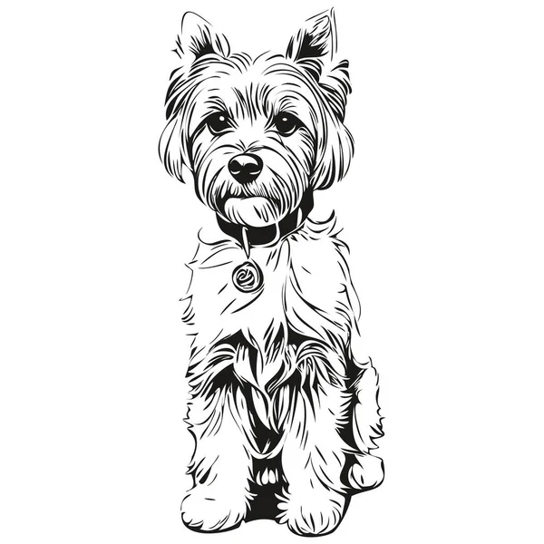Dandie Dinmont Terriers Cão Esboço Lápis Desenho Arte Personagem Preto — Vetor de Stock