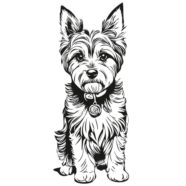 Dandie Dinmont Terriers Hond Omtrek Potlood Tekening Artwork Zwart Karakter — Stockvector