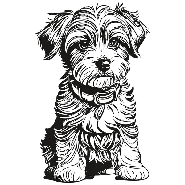 Dandie Dinmont Terriers นสอวาดภาพเวกเตอร ภาพวาดบรรท ดโลโก ใบหน ยงส าและส ขาว — ภาพเวกเตอร์สต็อก