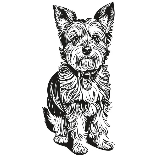 Dandie Dinmont Terriers Cão Pet Silhueta Animal Linha Ilustração Mão — Vetor de Stock