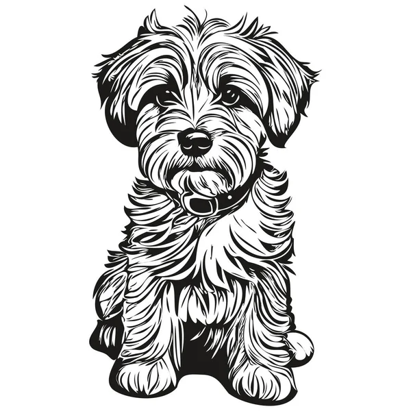 Dandie Dinmont Terriers Chien Animal Compagnie Silhouette Animal Ligne Illustration — Image vectorielle