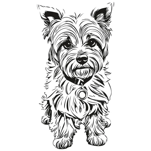 Dandie Dinmont Terriers Hund Husdjur Skiss Illustration Svartvitt Gravyr Vektor — Stock vektor