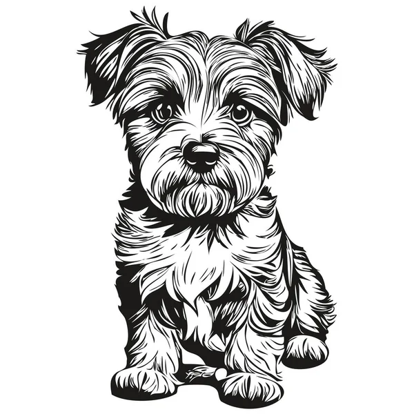 Dandie Dinmont Terriers Chien Animal Compagnie Silhouette Animal Ligne Illustration — Image vectorielle