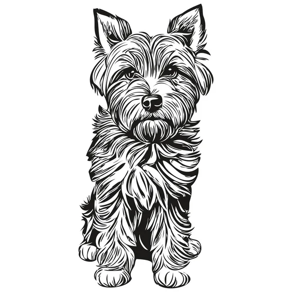 Dandie Dinmont Terriers Real Pencil Drawing Vector Line Art Illustration — 스톡 벡터