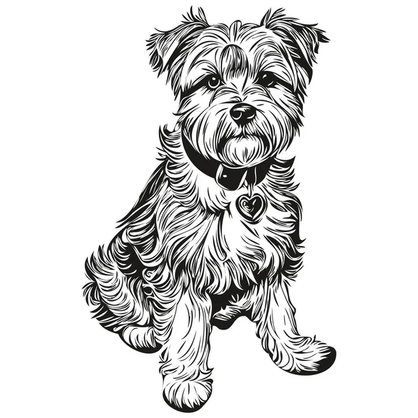 Dandie Dinmont Terriers Portrait Chien Vecteur Dessin Animal Main Pour — Image vectorielle