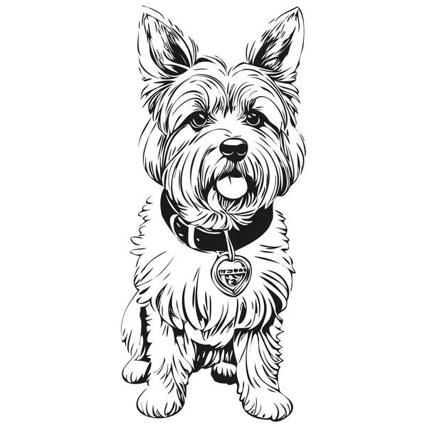 Dandie Dinmont Terriers犬の現実的なペットのイラスト 手描きの顔黒と白のベクトルスケッチの描画 — ストックベクタ