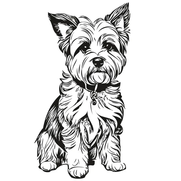 Dandie Dinmont Terriers Chien Silhouette Animalier Personnage Clip Art Vecteur — Image vectorielle