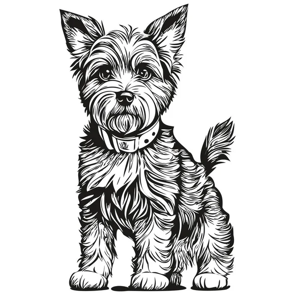 Dandie Dinmont Terriers Cão Realista Pet Ilustração Mão Desenho Rosto — Vetor de Stock