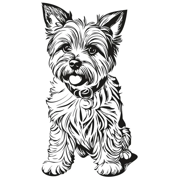 Dandie Dinmont Terriers犬Tシャツプリント黒と白 かわいい面白いアウトライン描画ベクトル現実的なペットのシルエット — ストックベクタ