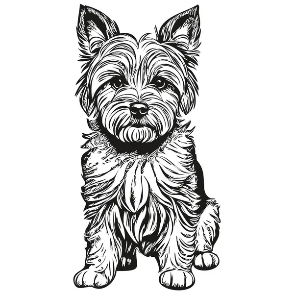 Dandie Dinmont Terriers犬のシルエットペットキャラクター クリップアートベクトルペット黒と白のスケッチの描画 — ストックベクタ