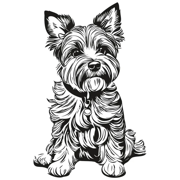 Dandie Dinmont Terriers Perro Vector Cara Dibujo Retrato Bosquejo Estilo — Vector de stock