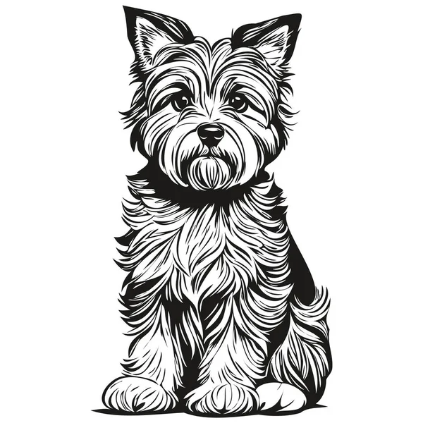 Dandie Dinmont Terriers Hund Vektor Grafik Handritad Penna Djur Linje — Stock vektor