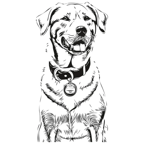 Dogo Argentino Dog Face Vector Portrait Funny Outline Pet Illustration — Stock Vector