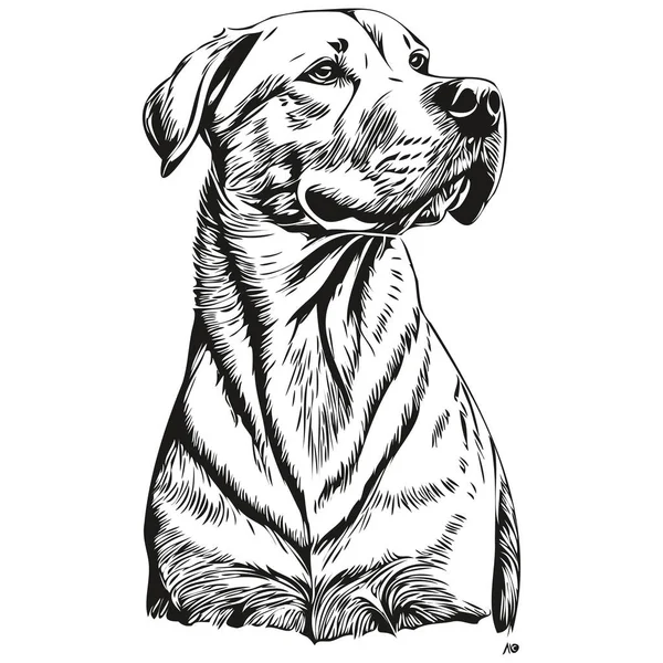 道後アルゼンチン犬Tシャツプリント黒と白 かわいい面白いアウトライン描画ベクトル — ストックベクタ