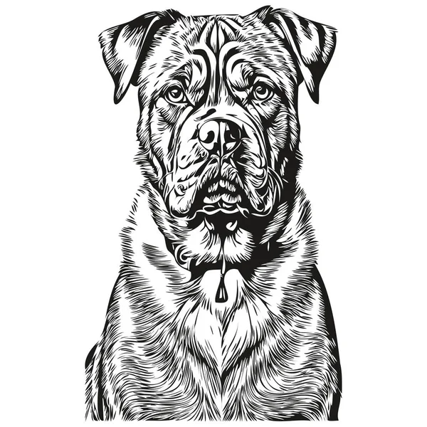 Dogue Bordeaux Cane Nero Vettore Disegno Isolato Faccia Pittura Schizzo — Vettoriale Stock