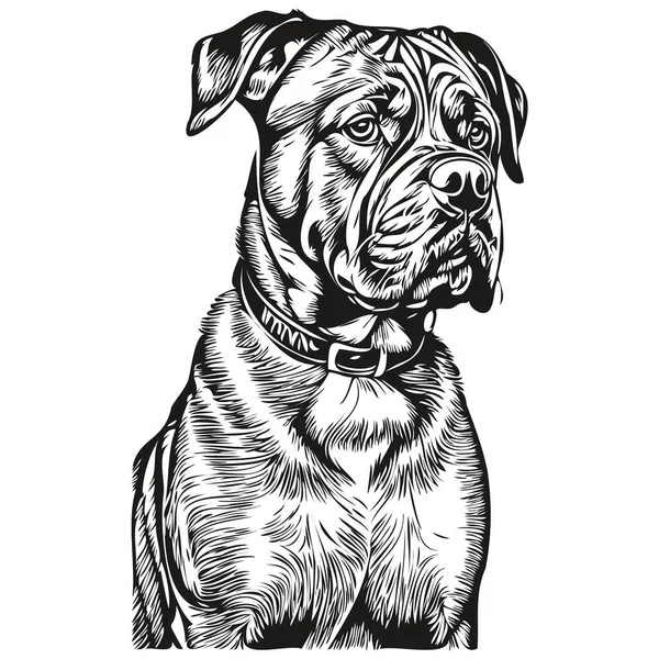 波尔多狗品种画线 剪贴画动物手绘矢量黑白逼真品种宠物 — 图库矢量图片