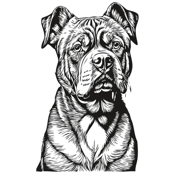 Dogue Bordeaux Perro Negro Dibujo Vector Cara Aislada Dibujo Línea — Archivo Imágenes Vectoriales