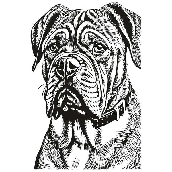 Dogue Bordeaux Köpek Siyah Çizim Vektörü Izole Edilmiş Yüz Boyama — Stok Vektör