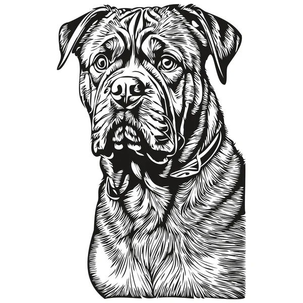 Мультипликационный Портрет Собаки Dogue Bordeaux Черно Белый Рисунок Скетча Принт — стоковый вектор