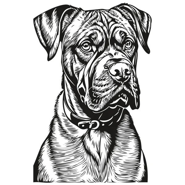 Dogue Bordeaux Σκυλί Χαραγμένο Διανυσματικό Πορτρέτο Πρόσωπο Κινουμένων Σχεδίων Vintage — Διανυσματικό Αρχείο