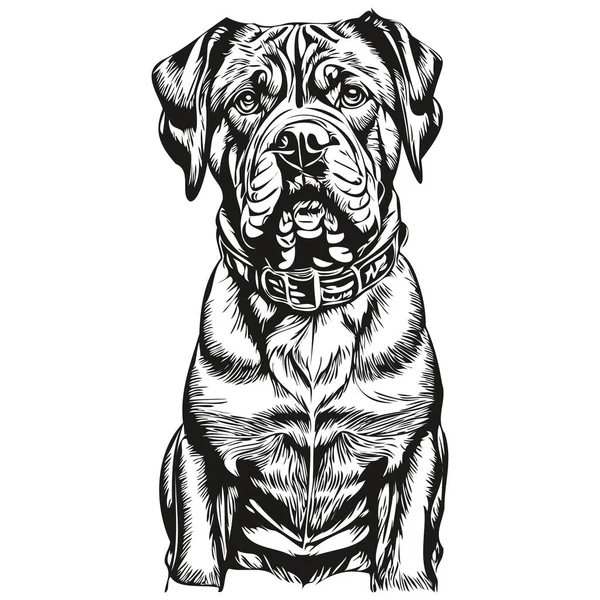 Dogue Bordeaux Dog Cartoon Face Ink Portrait Black White Sketch — Stock Vector