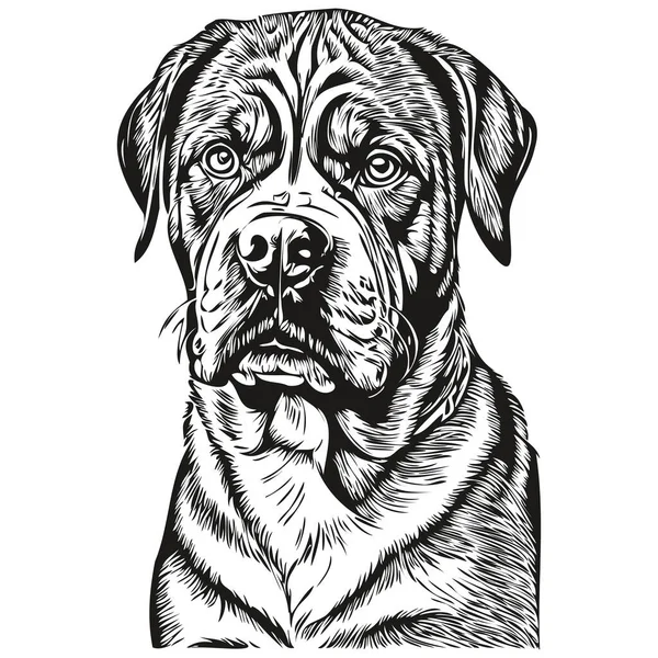 波尔多狗品种画线 剪贴画动物手绘矢量黑白草图 — 图库矢量图片