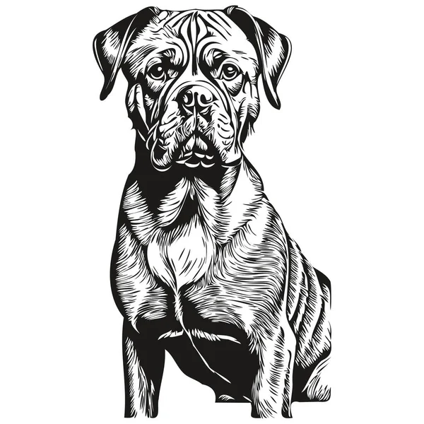 Dogue Bordeaux Hund Ras Linje Ritning Klipp Konst Djur Hand — Stock vektor