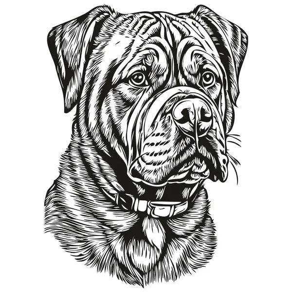 波尔多狗雕刻矢量肖像 面对黑白逼真品种宠物卡通画 — 图库矢量图片