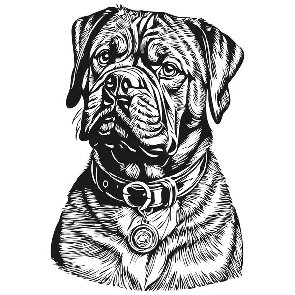 Dogue Bordeaux Собака Гравированный Векторный Портрет Лицо Мультяшный Винтажный Рисунок — стоковый вектор