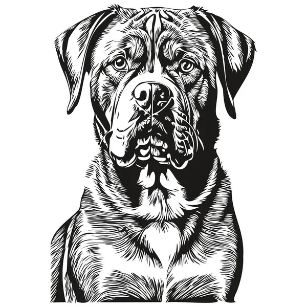 波尔多狗面部矢量画像 滑稽的宠物图片 白色背景草图 — 图库矢量图片