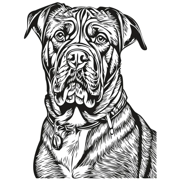 Dogue Bordeaux Hund Gesicht Vektor Porträt Lustige Umrisse Haustier Illustration — Stockvektor