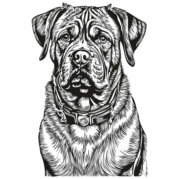 Dogue Bordeaux Perro Cara Vector Retrato Divertido Contorno Mascota Ilustración — Archivo Imágenes Vectoriales