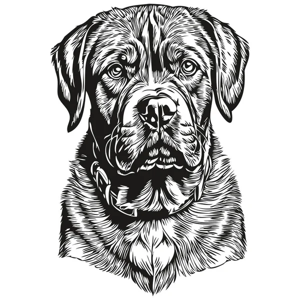 Dogue Bordeaux Dog Hand Drawn Logo Drawing Black White Line — Stock Vector
