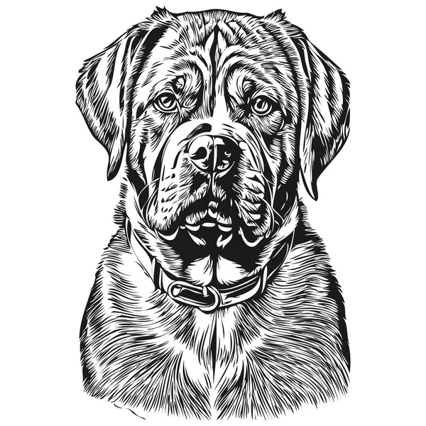 Dogue Bordeaux Cane Disegnato Mano Logo Disegno Bianco Nero Linea — Vettoriale Stock