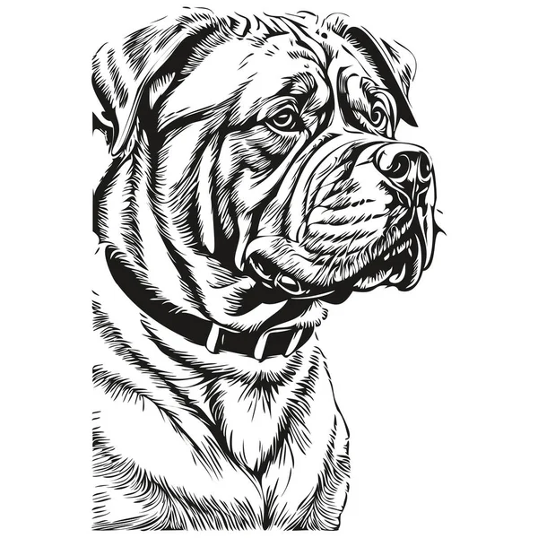 Dogue Bordeaux Hund Hand Dras Logotyp Ritning Svart Och Vit — Stock vektor
