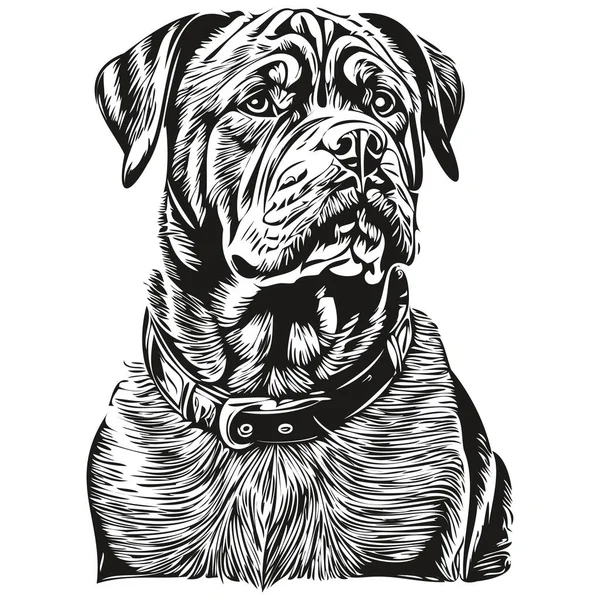Dogue Bordeaux Hund Huvud Linje Rita Vektor Handritad Illustration Med — Stock vektor