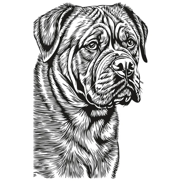 Dogue Bordeaux Cão Cabeça Linha Desenho Vetor Ilustração Desenhada Mão — Vetor de Stock
