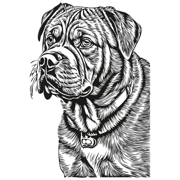 Dogue Bordeaux Dog Line Illustration Retrato Rosto Esboço Tinta Preta — Vetor de Stock