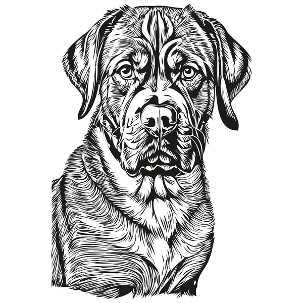 Dogue Bordeaux Dog Isolated Drawing White Background Head Pet Line — Stock Vector