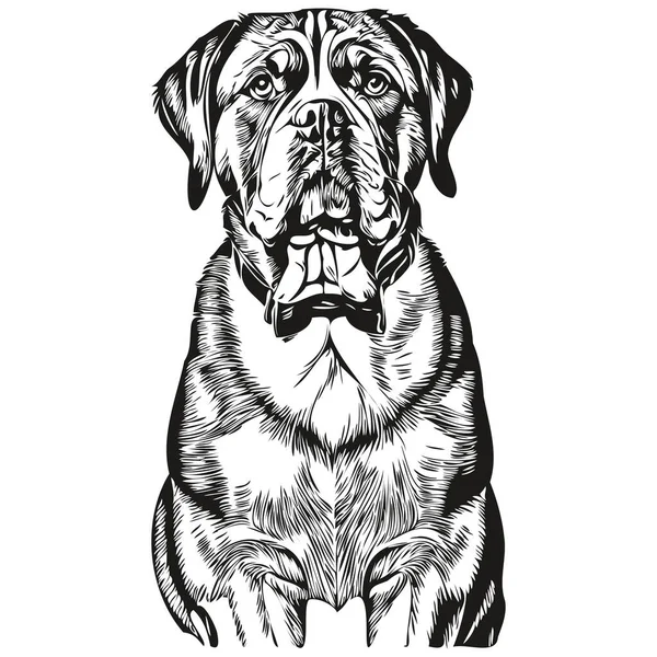 Dogue Bordeaux Dog Ink Sketch Drawing Vintage Tattoo Shirt Print — Stock Vector