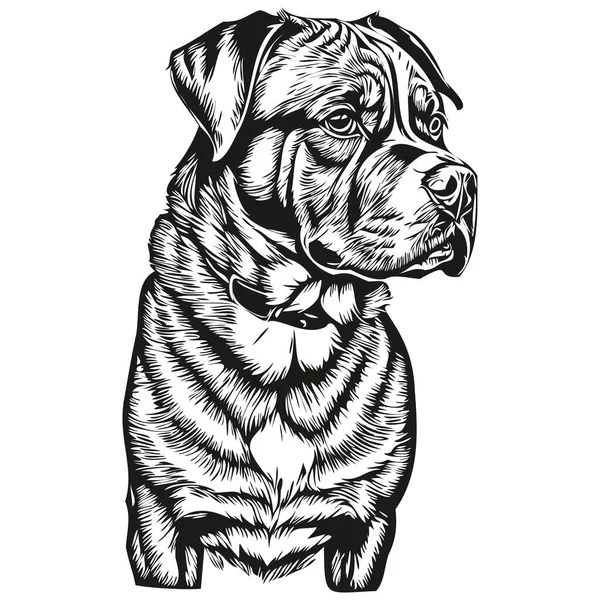 Dogue Bordeaux Pies Zarys Ołówek Rysunek Grafika Czarny Charakter Białym — Wektor stockowy