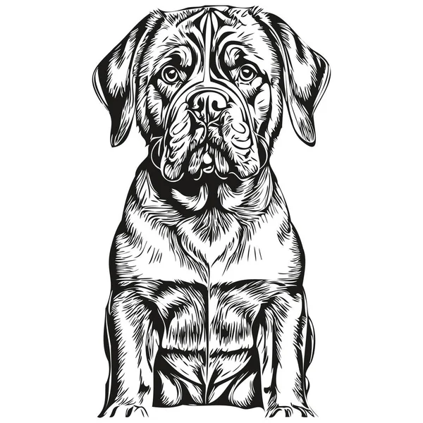 波尔多的狗标识矢量黑白相间 老旧可爱的狗头刻有斑纹 — 图库矢量图片