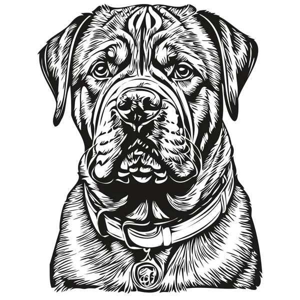 Dogue Bordeaux Pies Zarys Ołówek Rysunek Grafika Czarny Charakter Białym — Wektor stockowy