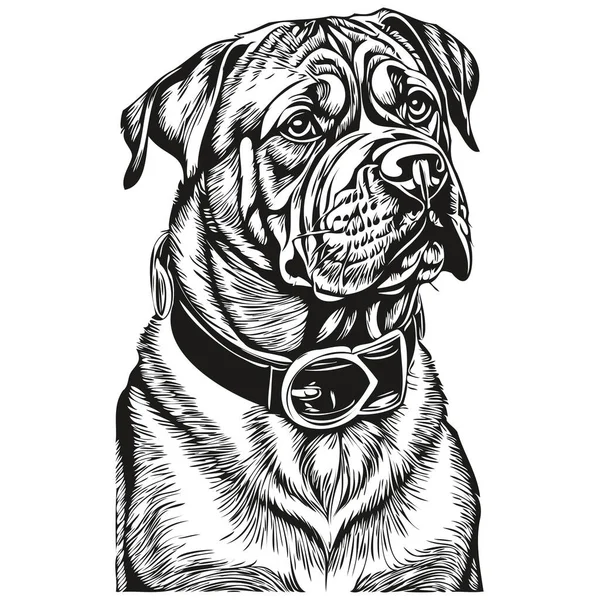 Dogue Bordeaux Dog Pencil Hand Drawing Vector Outline Illustration Pet — Stock Vector