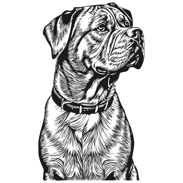 Dogue Bordeaux Chien Contour Crayon Dessin Illustration Caractère Noir Sur — Image vectorielle