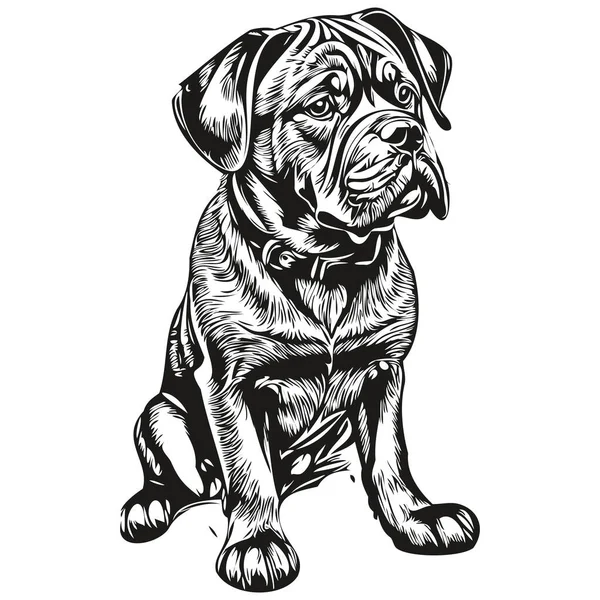 Dogue Bordeaux Собака Карандаш Ручной Рисунок Вектор Набросок Иллюстрации Животное — стоковый вектор