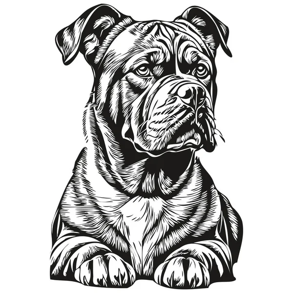 Dogue Bordeaux Dog Silhouette Animal Line Illustration Hand Black White — 스톡 벡터