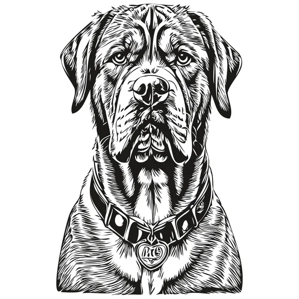 Dogue Bordeaux Dog Pet Sketch Illustration Black White Engraving Vector — Stock Vector