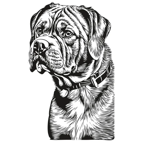 Dogue Bordeaux Köpek Evcil Hayvan Resmi Siyah Beyaz Oyma Vektörü — Stok Vektör