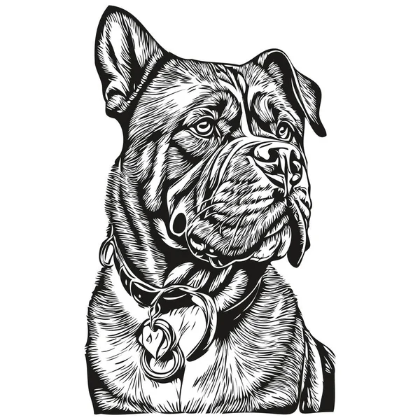 Retrato Cão Dogue Bordeaux Vetor Desenho Mão Animal Para Tatuagem —  Vetores de Stock